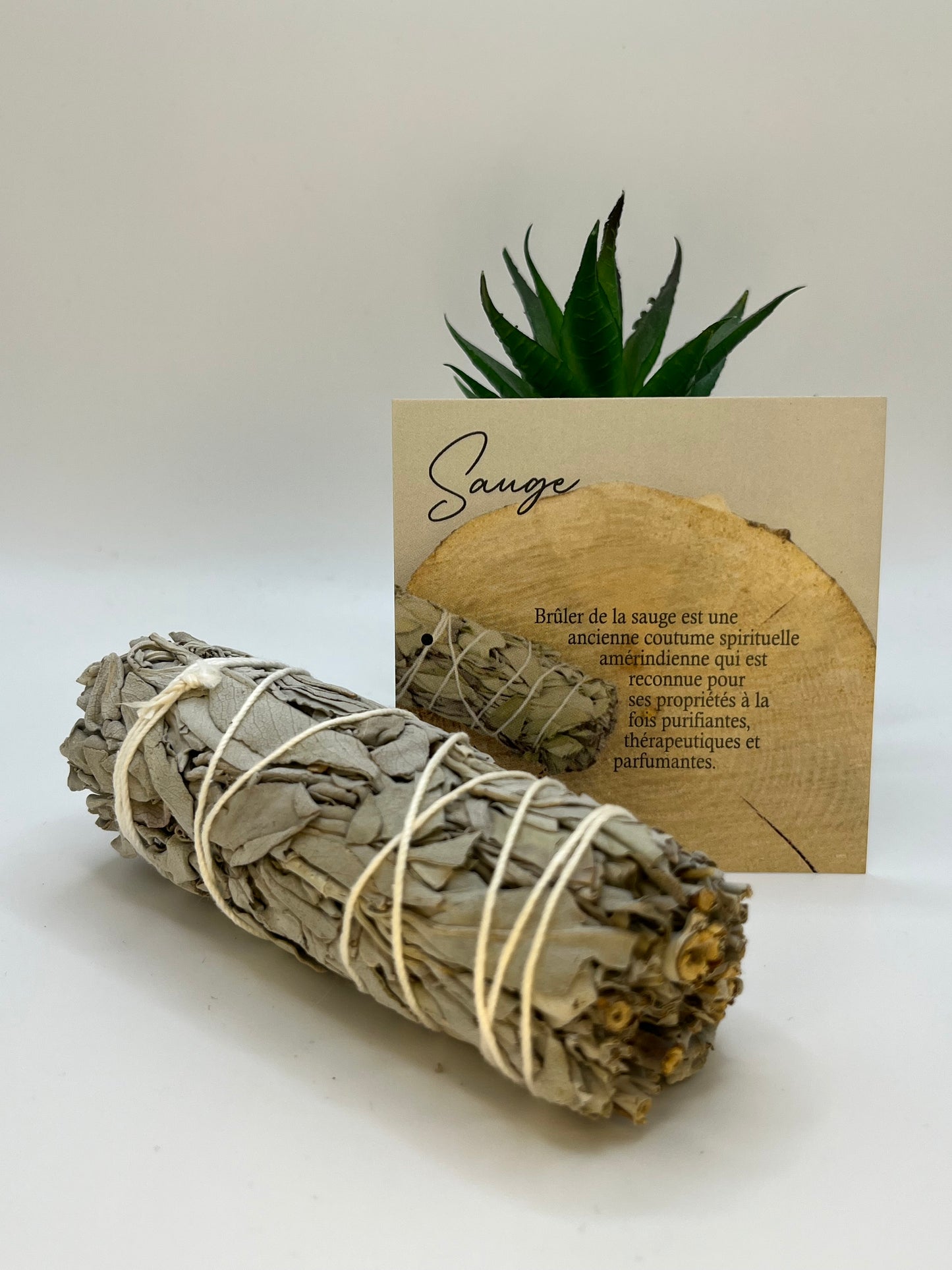 Bâton de sauge - CAMILLE AMBIANCE NATURE
