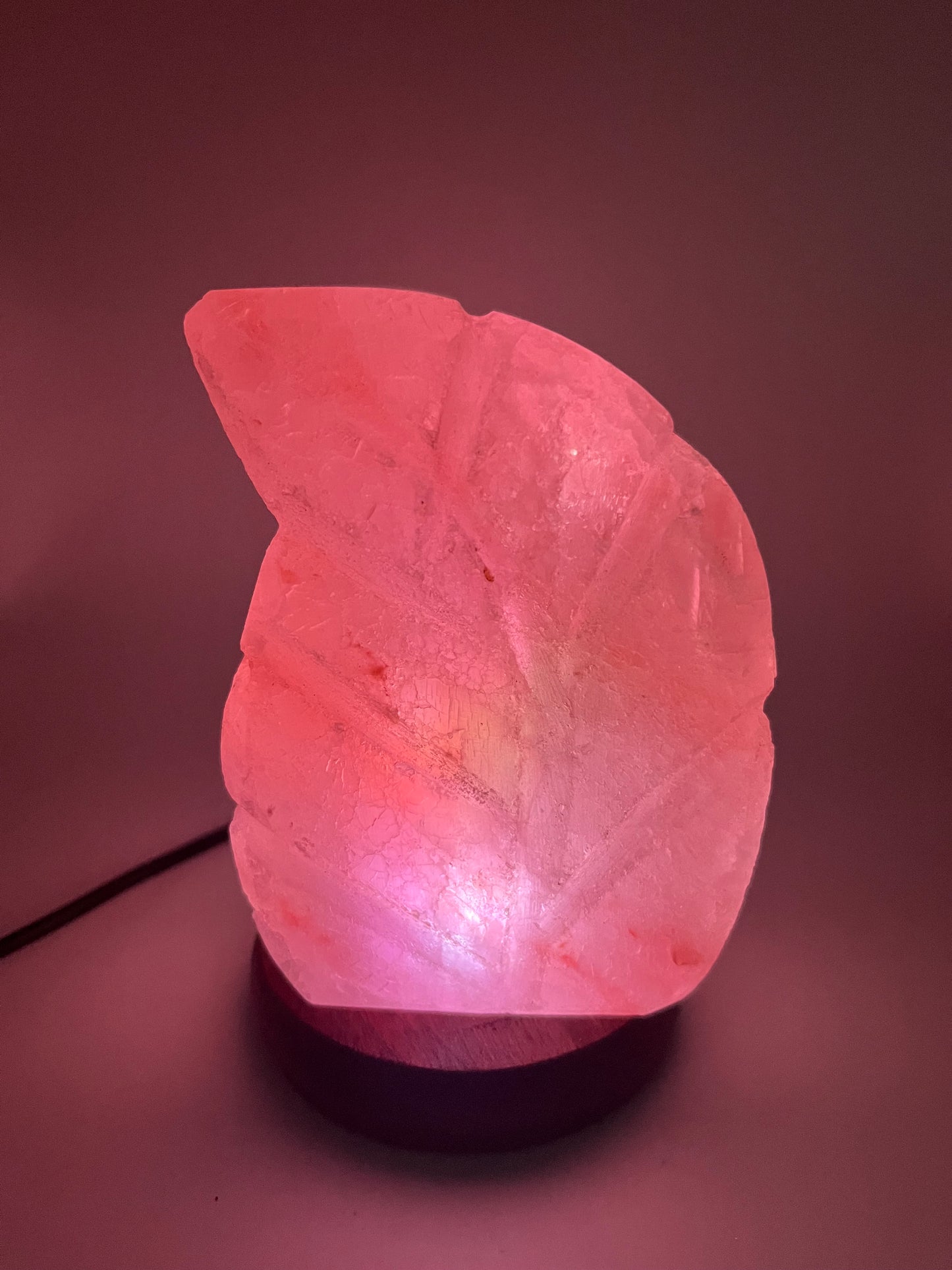 Lampe à sel de l'Himalaya USB - Feuille