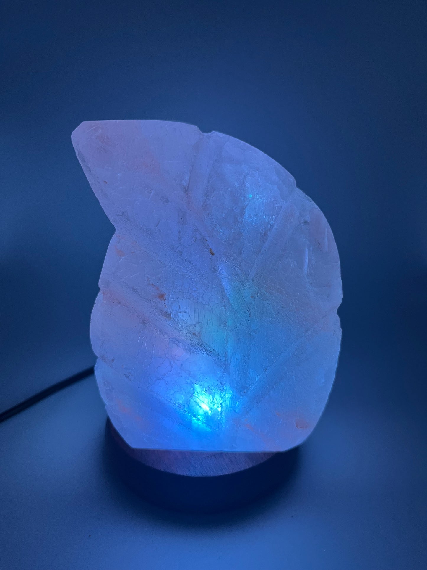 Lampe à sel de l'Himalaya USB - Feuille