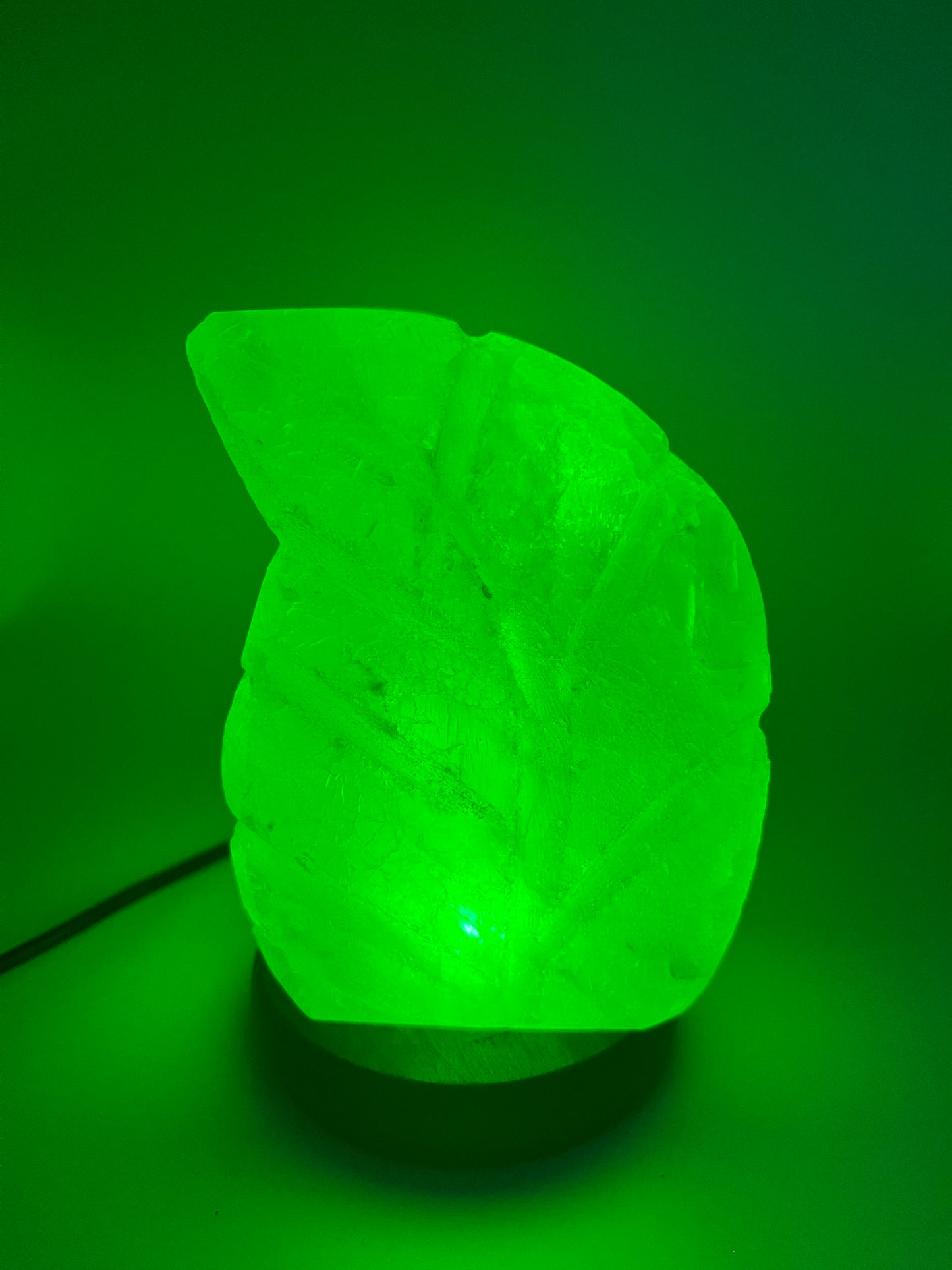 Lampe à sel de l'Himalaya USB - Feuille