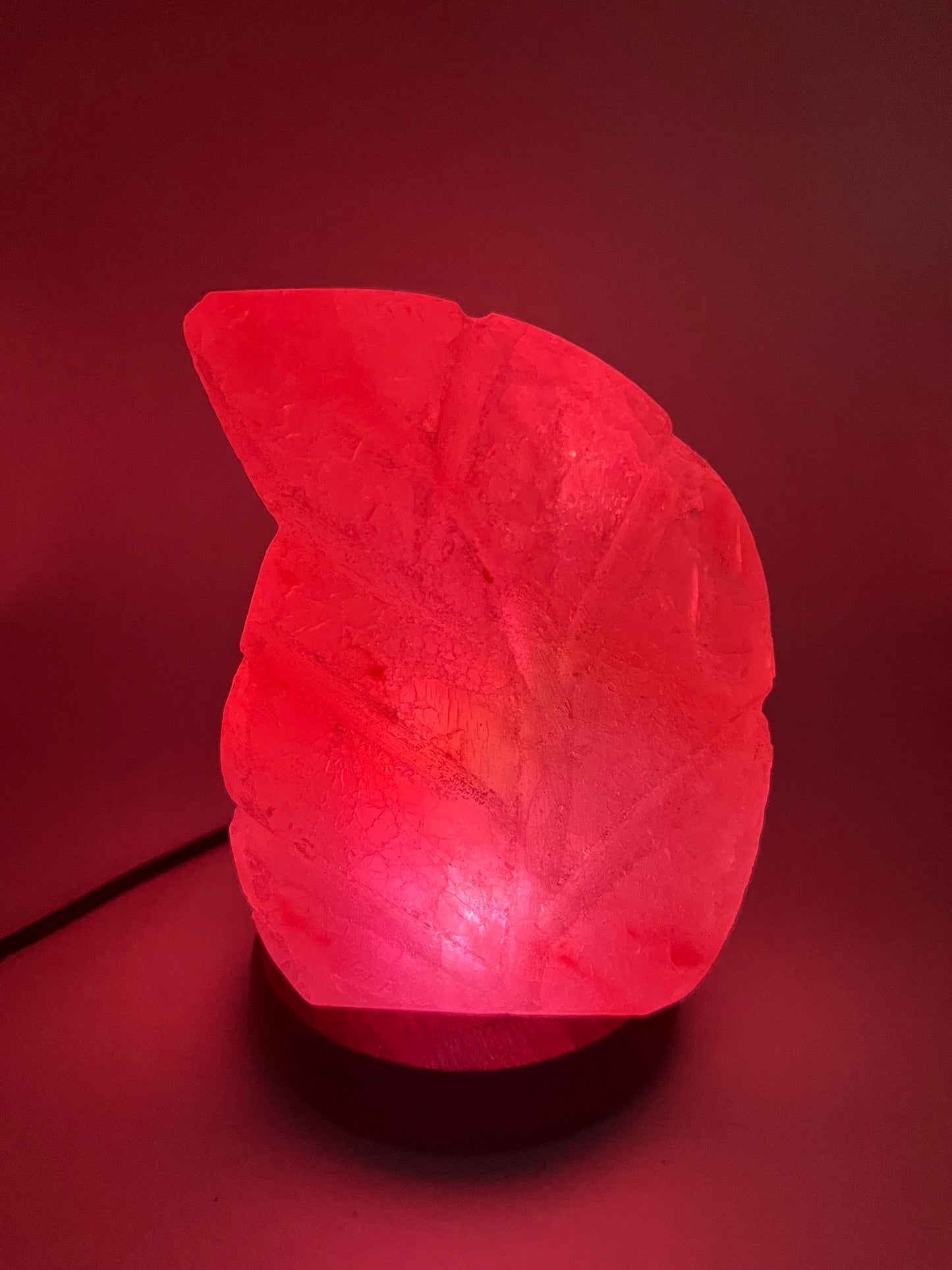 Lampe à sel de l'Himalaya USB - Feuille